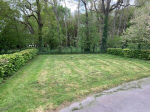 Combourg Plots (2)
