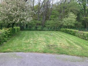 Combourg Plots (3)