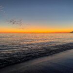 Marbella 6