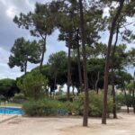 Marbella Costa Del Sol Spain Park Images (1)
