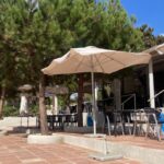 Marbella Costa Del Sol Spain Park Images (13)