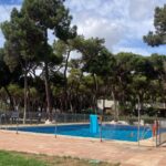 Marbella Costa Del Sol Spain Park Images (14)