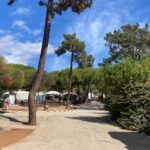 Marbella Costa Del Sol Spain Park Images (19)