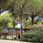 Marbella Costa Del Sol Spain Park Images (3)