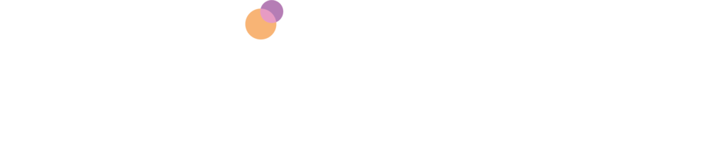 Netinspire Logo White