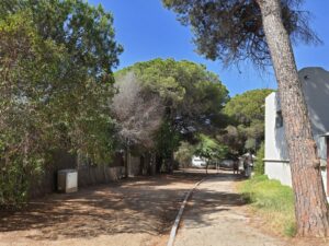 The Pines Marbella Costa Del Sol Spain (5)