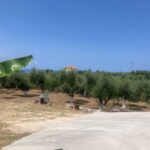 Tsilivi, Zante, Greek Islands (32)