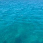 Tsilivi, Zante, Greek Islands (58)