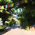 Xativa Video Stills (1)