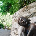 Xativa Video Stills (4)