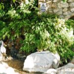 Xativa Video Stills (7)