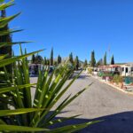 Saydo (1)