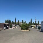 Saydo Park (17)