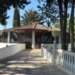Saydo Park (2)