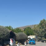 Saydo Park (20)