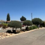 Saydo Park 2024 (100)