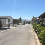 Saydo Park 2024 (102)