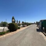 Saydo Park 2024 (108)