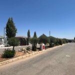 Saydo Park 2024 (109)