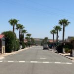 Saydo Park 2024 (118)
