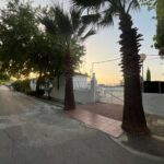 Saydo Park 2024 (12)