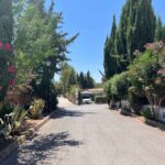 Saydo Park 2024 (121)