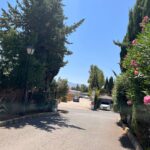 Saydo Park 2024 (122)