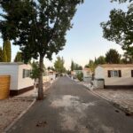 Saydo Park 2024 (16)