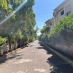 Saydo Park 2024 (20)