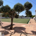 Saydo Park 2024 (21)