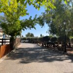 Saydo Park 2024 (31)