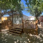 Saydo Park 2024 (40)
