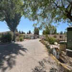 Saydo Park 2024 (71)