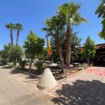 Saydo Park 2024 (75)