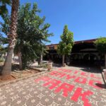 Saydo Park 2024 (76)