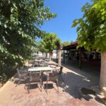 Saydo Park 2024 (77)