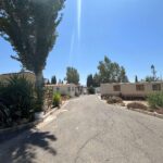 Saydo Park 2024 (95)
