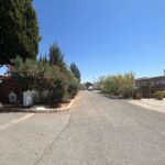 Saydo Park 2024 (96)