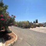 Saydo Park 2024 (97)