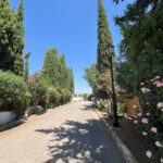 Saydo Park 2024 (99)