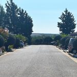 Saydo Park (21)