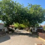 Saydo Park (22)