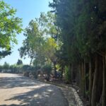 Saydo Park (23)