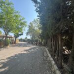 Saydo Park (26)