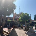Saydo Park (28)