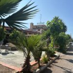 Saydo Park (30)