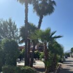 Saydo Park (31)