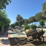 Saydo Park (32)