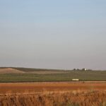 Saydo Windmill (2)