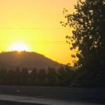 Saydo Windmill (7)